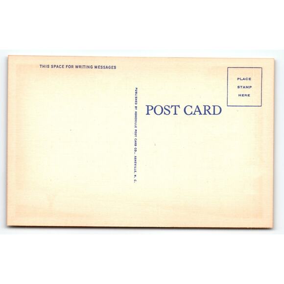 Vintage Linen Postcard Chapel Blue Ridge Sanatorium Charlottesville VA - Picture 2 of 2